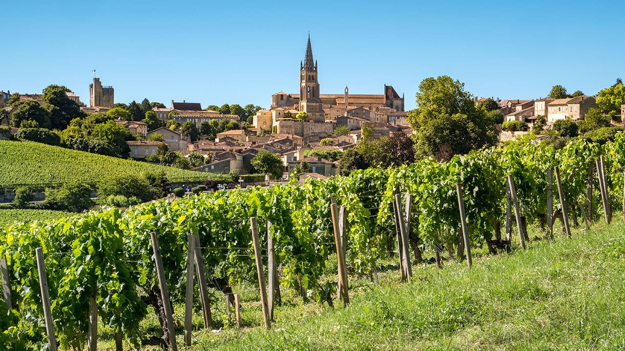 Achat de vin de Bordeaux Sélection des meilleurs crus Vina Domus