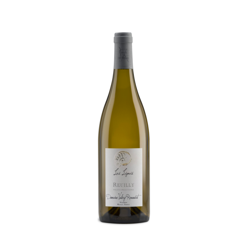 reuilly-blanc-les-lignis-2022-domaine-valery-renaudat-vina-domus