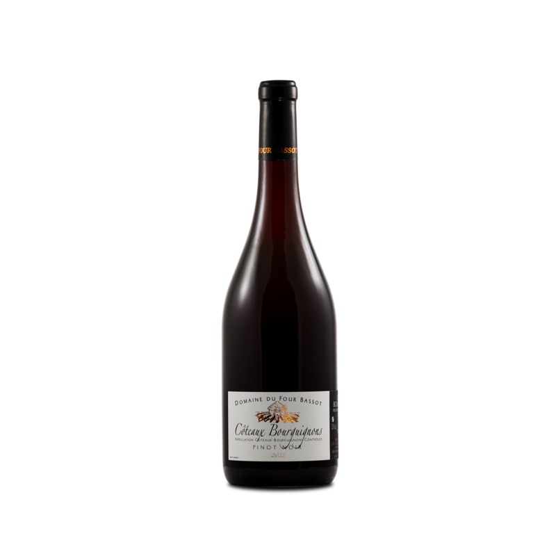 coteaux-bourguignons-2022-domaine-du-four-bassot-vina-domus