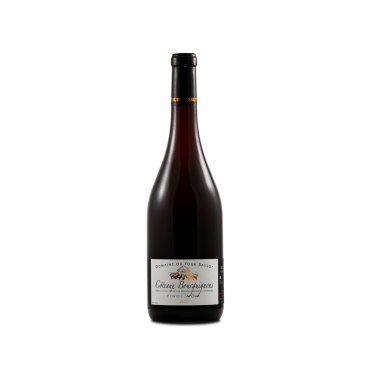 Côteaux Bourguignons - 2022 - Domaine du Four Bassot