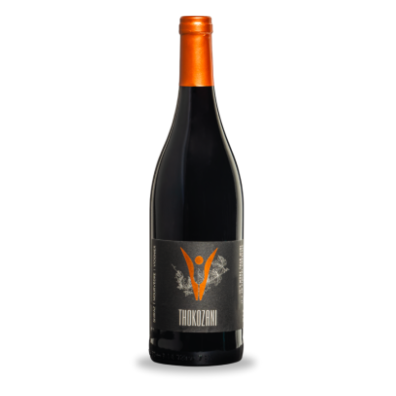 thokozani-afrique-du-sud-2019-diemersfontein-vina-domus